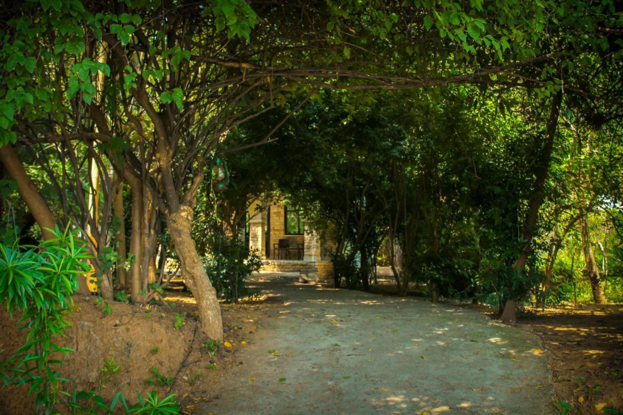 Panna Tiger Resort- Riverside Property Rājgarh Екстериор снимка