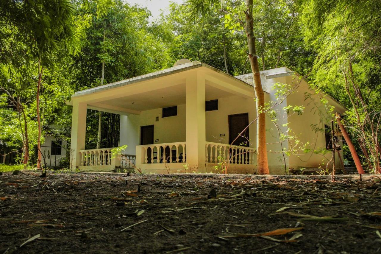 Panna Tiger Resort- Riverside Property Rājgarh Екстериор снимка